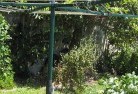 Weyba Downsvegetable-gardens-13.jpg; ?>