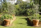 Weyba Downsvegetable-gardens-3.jpg; ?>